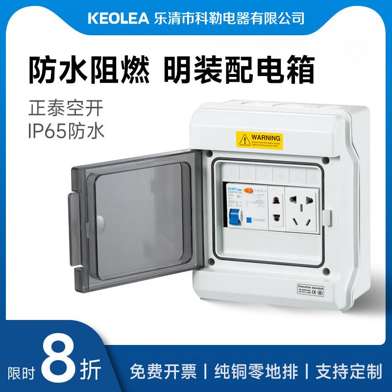 配电箱防水明装家用盖板配电箱户外防雨塑料小型回路空开 箱强电