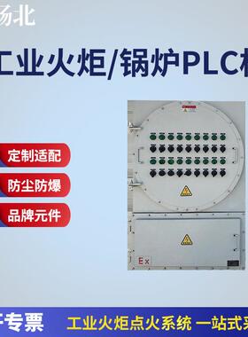 PLC控制柜隔爆本安复合型火炬系统用ExdIIBT4Gb防爆认证控制柜