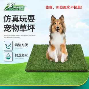 室内拼接可移动人造草坪地垫透水悬空塑料板拼接草坪仿真假草坪