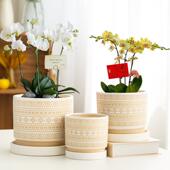 欧式 高档浮雕花盆陶瓷带托盘粗陶透气客厅蝴蝶兰绿萝绿植盆栽盆器