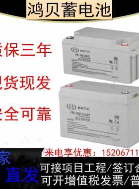 BATA/BY鸿贝蓄电池FM/BB1228T 12V7/18/24/28/38/40/65/100AH