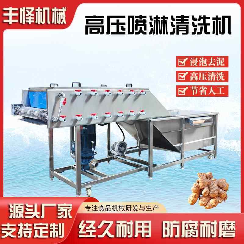 商用大姜清洗机鬼子姜黄姜去泥沙清洗机连续式高压喷淋洗姜机