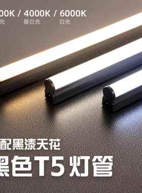 T5灯管一体化LED日光灯黑色外壳T8工业风条形明装超亮支架全套