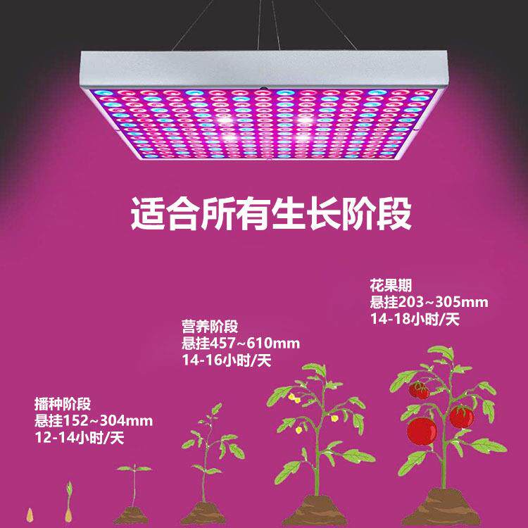 厂家直销LED植物灯红蓝配方形面板植物生长灯LED全光谱室内成长灯