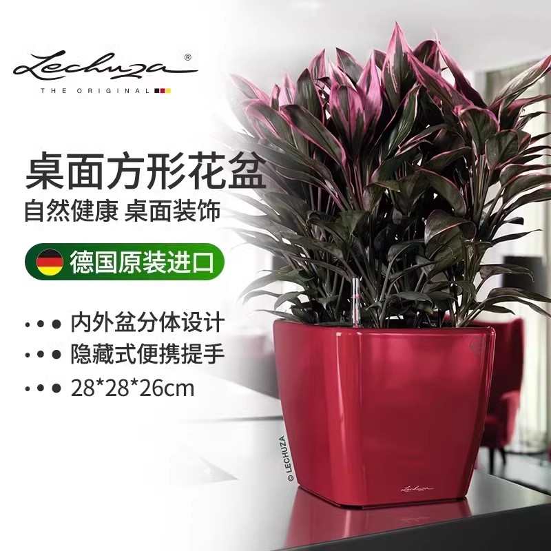 Lechuza德国进口自吸水花盆绿植桌面办公简约创意树脂quadro 28
