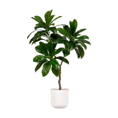 仿真植物枇杷树假植物室内客厅造景装饰仿生绿植杜英盆栽落地摆件