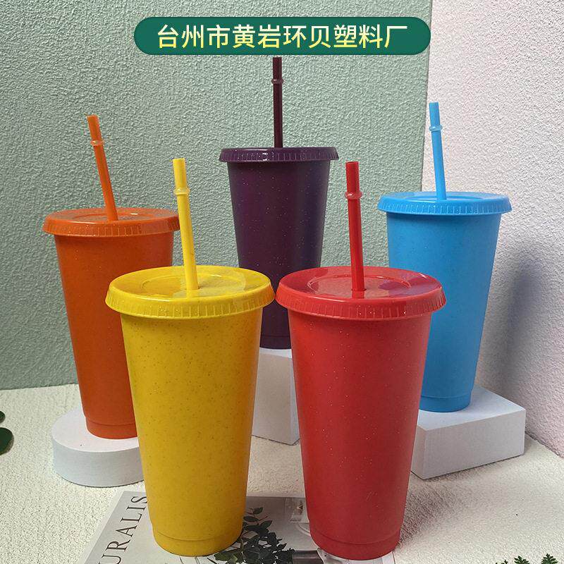 厂家直供时尚彩虹吸管闪粉杯PP材质大容量塑料吸管杯带盖