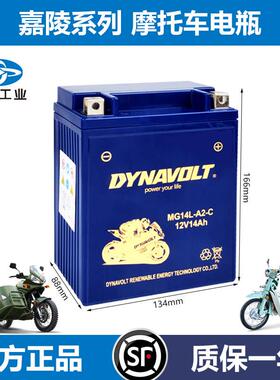 嘉陵JH600电池JL110弯梁JL125T踏板JH200新街火150男装摩托车电瓶