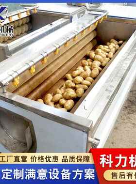 自动毛去清洗机 山药红薯辊清洗去皮机皮清HNM 生姜洗机去皮机