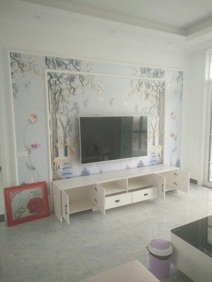 被坑了长虹65A4U与海信H65E3A哪款好点?区别大不大?