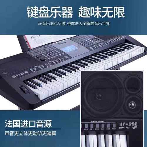 新韵9琴XY-98787电子充电专业演奏初学者入门学生成人老中年6键电