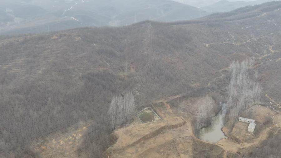 【特价捡漏稀缺725亩林地带地上种植物】驻马店市泌阳县铜山乡羊进冲村刘庄组