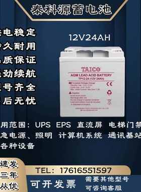 TAICO泰科源蓄电池FM/TP 12V24AH 直流屏 消防通讯 UPS电源主机