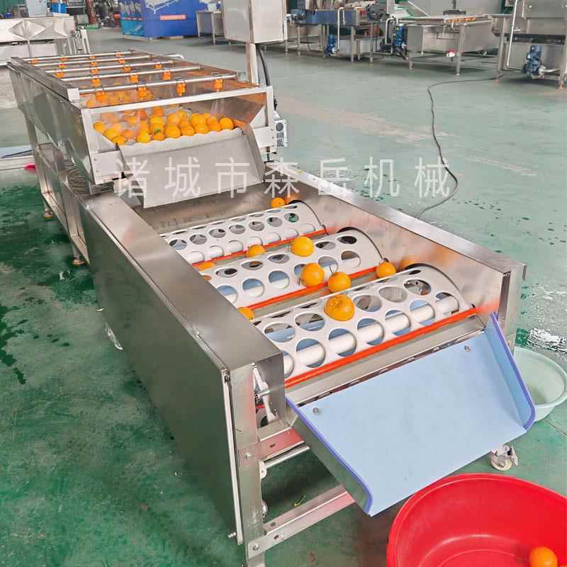 小型脐橙清洗分选果机水果清洗分选设备小型柑橘选果洗果一体机