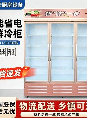 冷藏柜展示柜保鲜柜商用三门蔬菜冰箱立式双开门饮料柜大容量冷柜
