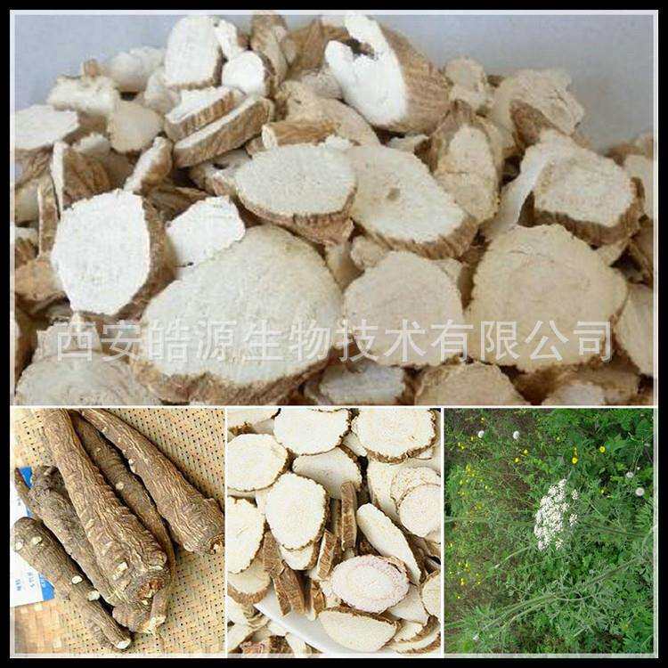 白芷提取物10:1 异欧前胡素 厂家提取物原料