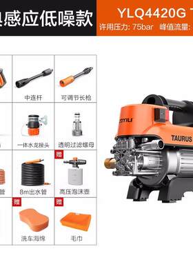 亿力YILI 220V高压洗车机家用 高压水枪 洗车水枪 YLQ4420G T4