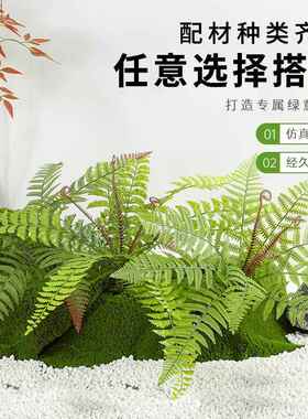 仿真蕨类假植物假草假花造景小配材客厅庭院阳台盆栽盆景装饰材料