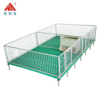 恒FBE富机养猪猪场设备小猪保床钢丝械网底保育床育成套产床现货