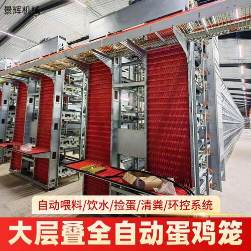 蛋鸡喂料集蛋清粪翻转式捡蛋机自动喂料全自动大层叠蛋鸡笼