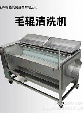 食品级防锈毛刷辊农产加工/中央厨房专用全自动毛辊清洗机