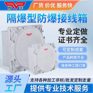 防爆接线箱IICT6配电箱照明动力检修端子箱电源开关控制盒配电柜