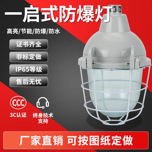 防爆灯壳 一开启防爆灯 一启式 db-125