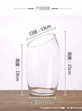 花瓶摆件玻璃花瓶客厅透明插花富贵竹绿萝水培干花花瓶斜口鱼缸