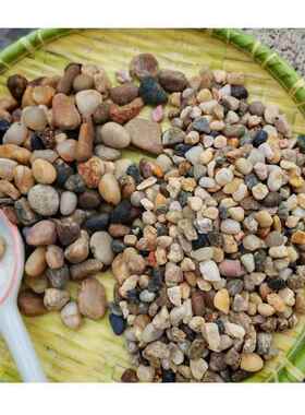 2030mm黑雨花石铺路石-石|圆润防滑砾+纯白色水磨石CZV庭院造景组