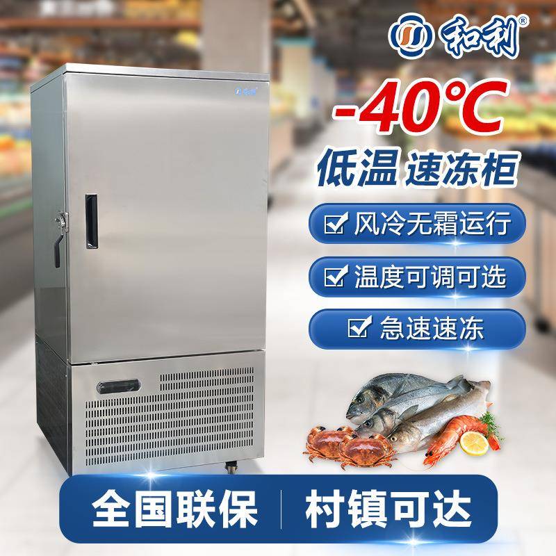 速冻柜商用立式-40度餐饮生鲜急冻海鲜食材饺子冷冻插盘冰箱冷柜