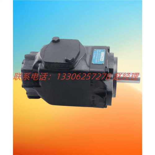 T6CCW 022 008/006/005/003 1R00/2R00 C100丹尼逊DENISON叶片泵