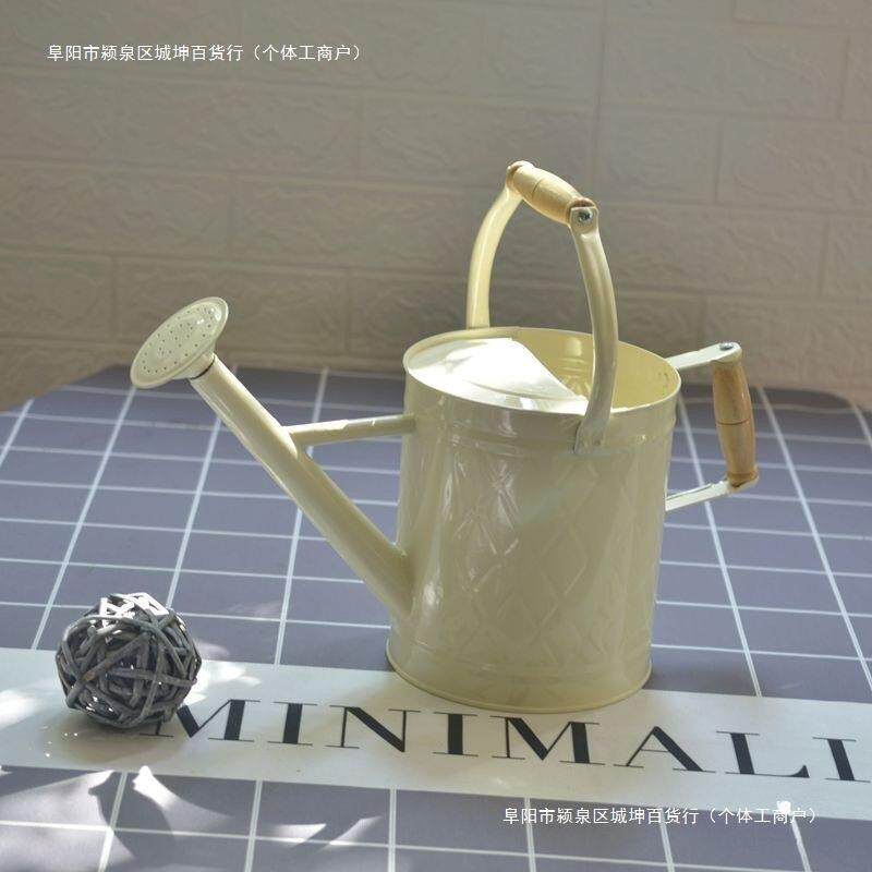 洒水壶浇花家用铁喷壶浇花壶两用养花园艺种菜大容量大号包邮