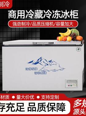 卧式冰柜大容量家用卧式冰箱冷藏冷冻双门双温冷柜商用冷冻柜