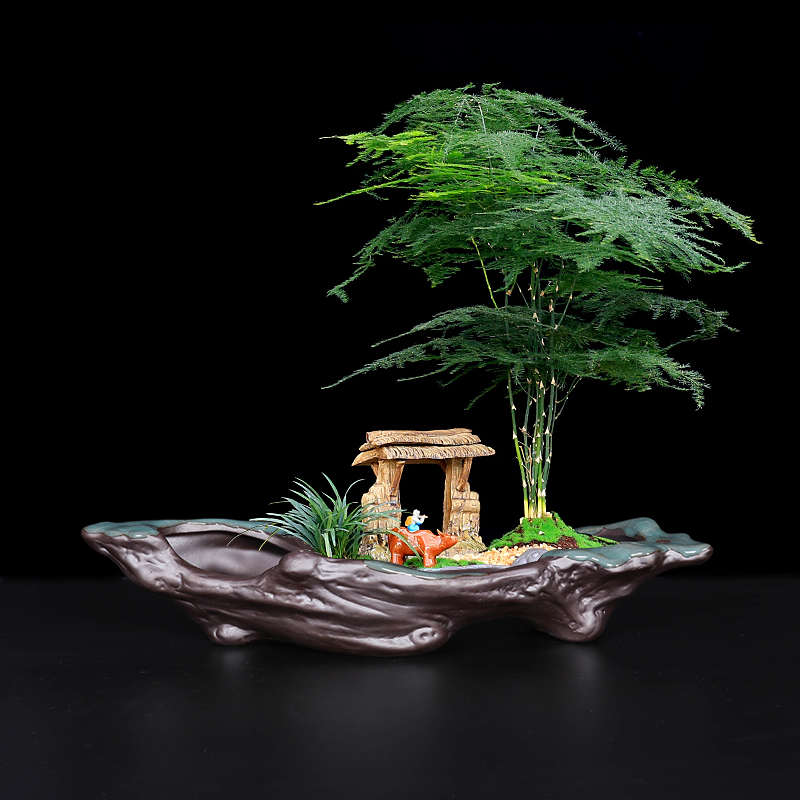 迎客松黄杨文竹榕树福建茶六月雪花盆陶瓷造景桌面长条盆景盆室内