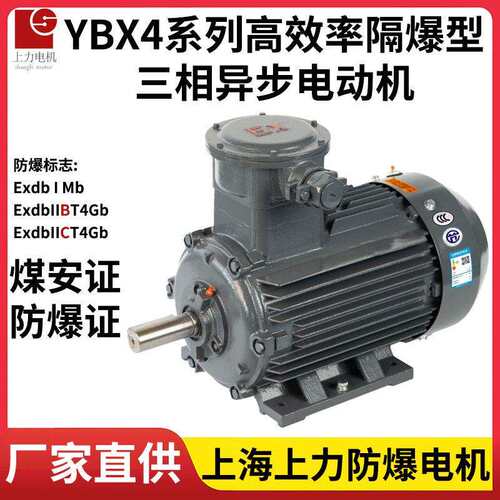 上海上力YBX4-315S-675W电机防爆证全技改项目源头厂家直供应