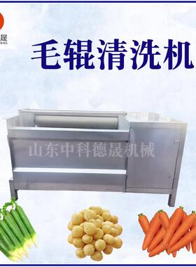 白茅根毛辊清洗机芋头地瓜去皮清洗机净菜成套设备毛辊清洗机