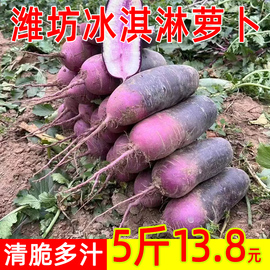 山东潍坊冰淇淋萝卜新鲜冰激凌紫罗卜清脆即食水果生吃紫美人蔬菜