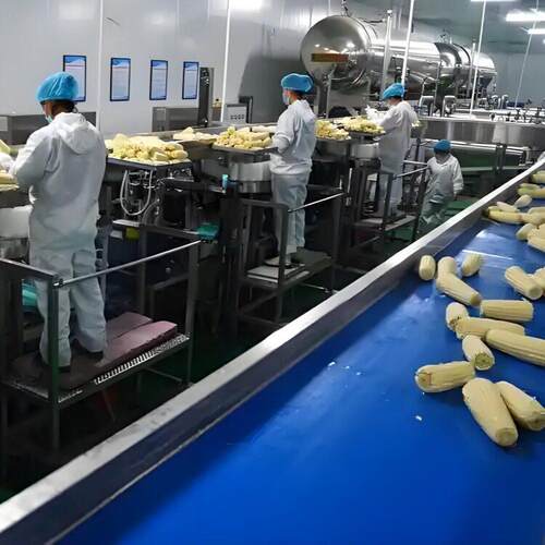 东北玉米深加工生产线 糯玉米加工设备 鲜水果玉米去皮机