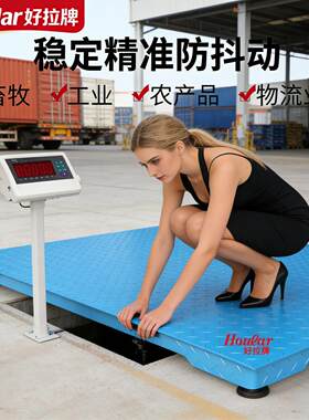 电子地磅秤1-吨精度称猪小地磅500kg畜牧工业平台秤落地称