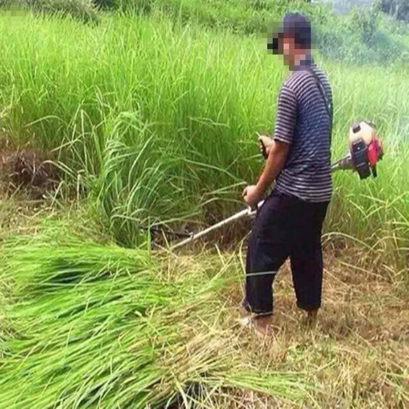 割草机 成人电动场地摩托车小公牛沙滩车越野山地四轮 厂家供应