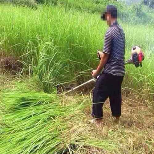 割草机 成人电动场地摩托车小公牛沙滩车越野山地四轮 厂家供应