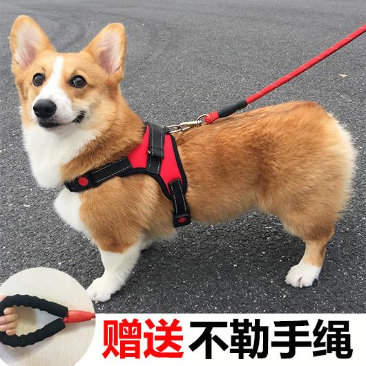 狗狗牵引绳背心式遛狗绳子泰迪法斗柯基中型小型犬宠物用品胸抱婴