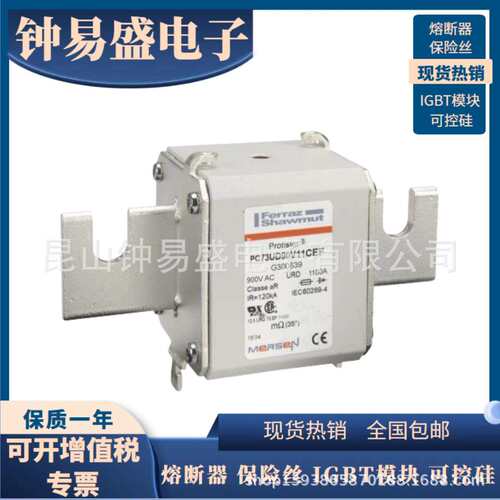 法国美尔森A100UD73TTI1250罗兰熔断器 A090UD73TTI1400 tN301059