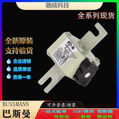 巴斯曼170M5260 170M5261 170M5262 现货供应厂价直供 快速熔断器