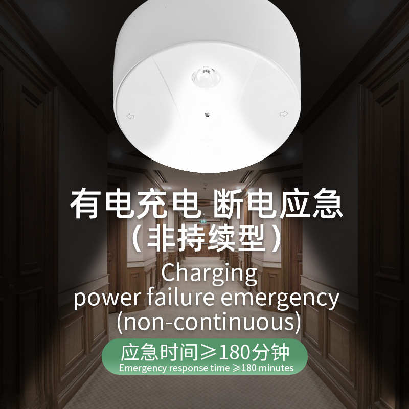 寸应急灯明装4多功能灯一体化消防通道照明停电楼梯led走廊顶筒吸