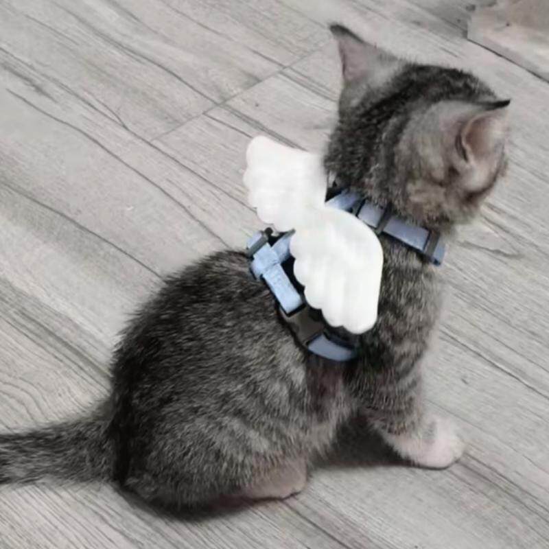 猫咪牵引绳外出挣脱可爱翅膀调节宠物小型专用链子狗狗抱婴袋绳子