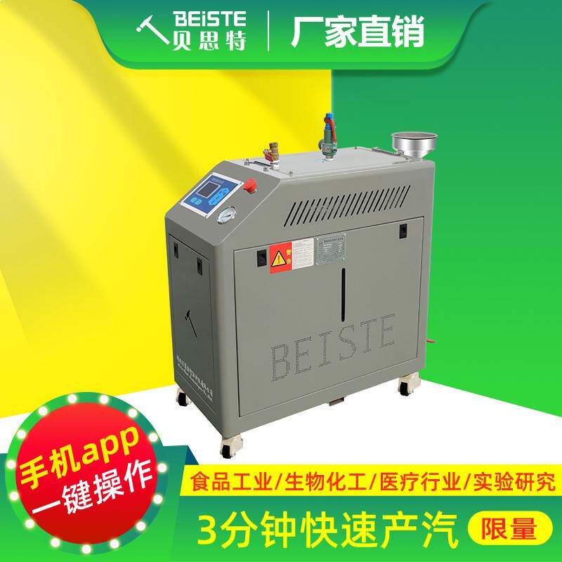 蒸汽发生器贝思特厂家免报检高效节能商用工业用食品加工洗涤整烫