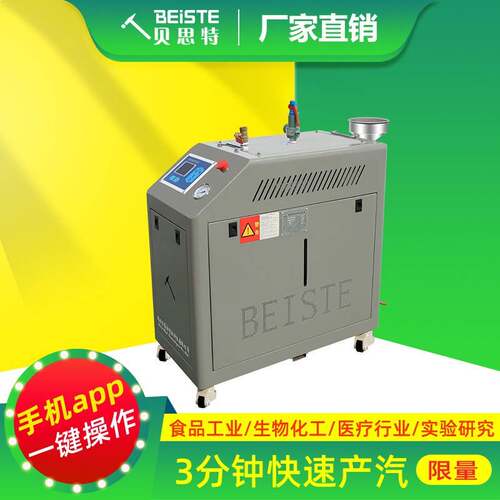 蒸汽发生器贝思特厂家免报检高效节能商用工业用食品加工洗涤整烫