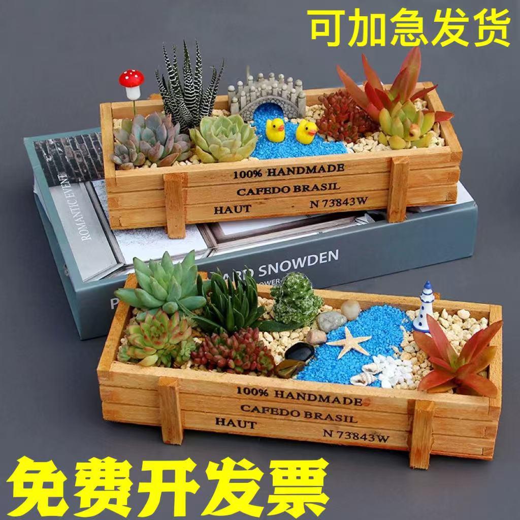 多肉植物组合盆栽套餐带盆土diy微景观材料包室内办公桌绿植盆栽