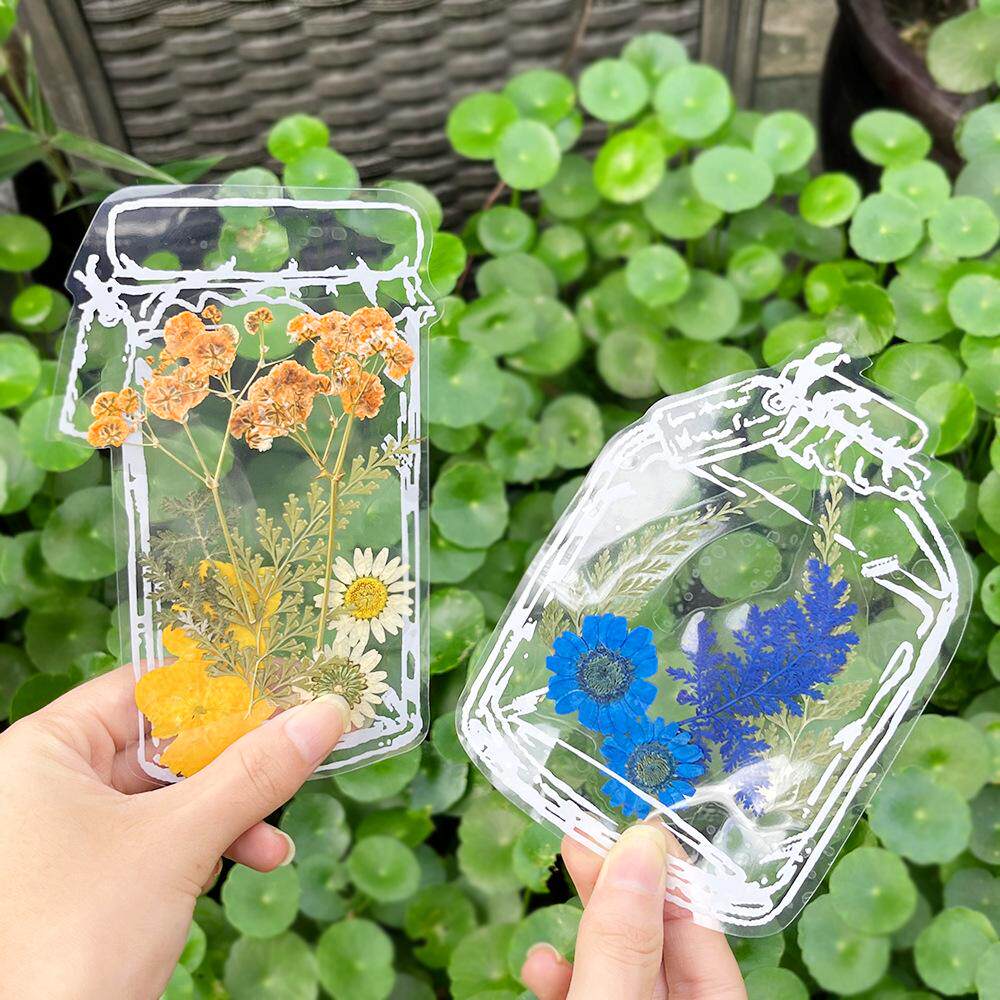 干花书签植物标本塑封膜秋天收集枫叶儿童创意贴纸手工材料